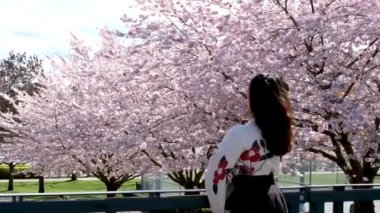 40 'larında, orta yaşlı bir kadın, parlak yüzlü, mutlu, Kore şapkası giymiş, sakura çiçeği ağacının altında. Yüksek kalite 4k görüntü