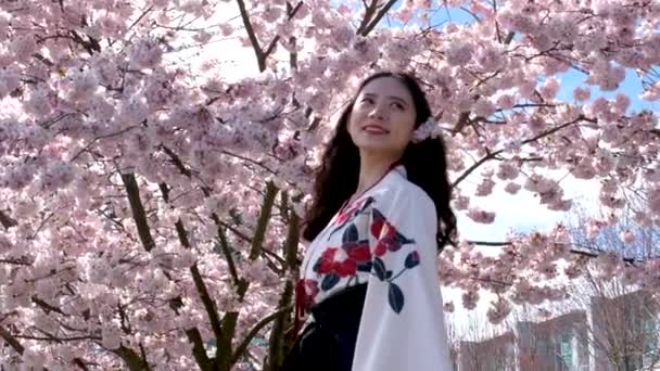 Ung Asiatisk Kvinna Kimono Körsbärsblommor Japanska Traditionella Kläder Högkvalitativ Film — Stockvideo
