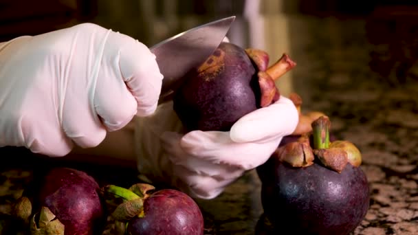 Mangosteen Mostra Mão Cortou Pele Roxa Carne Branca Rainha Fruit — Vídeo de Stock
