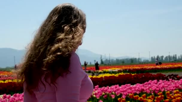 꽃밭을 하늘에서 여행의아름다움 다움의 승리의 — 비디오