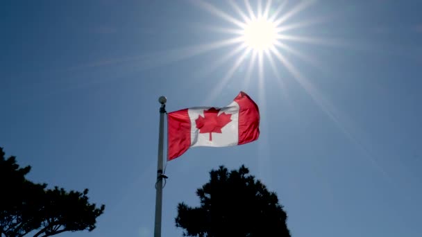 Κλείσε Την Σημαία Του Καναδά Σύμβολα Σημαίας Του Καναδά Καναδάς — Αρχείο Βίντεο