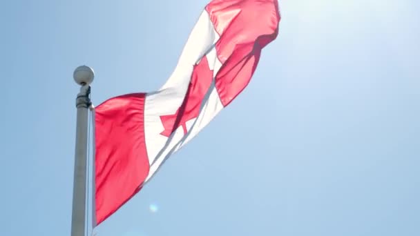 Zavřít Vlajku Kanady Symboly Kanady Kanada Národní Vlajka Vlnící Krásné — Stock video