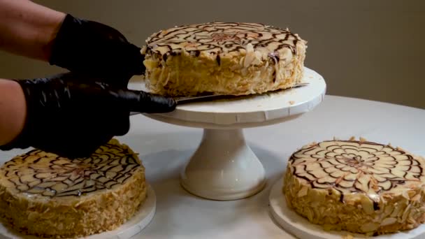 Esterhazy Torte Estergazi Gâteau Aux Noix Est Populaire Hongrie Autriche — Video