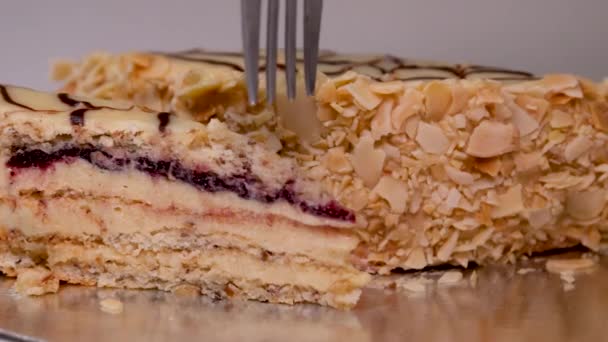 Coupé Fourchette Délicieux Dessert Manger Plaisir Plaisir Estergazi Gâteau Aux — Video
