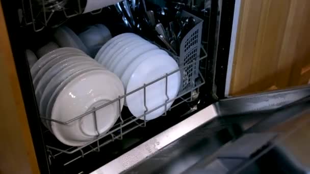 食器洗い機から皿をレイアウト10代の男の子の女の子は 家庭の家事で両親を助ける調理洗浄機をきれいに閉じる食器洗い機新しい技術便利な清掃会社は必要ではありません — ストック動画