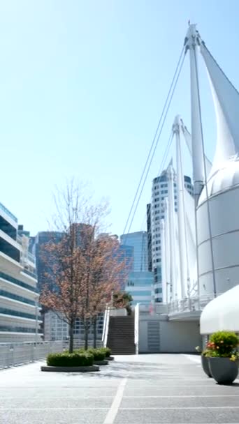 Énorme Paquebot Croisière Large Vancouver Canada Place Drapeau Flottant Dessus — Video