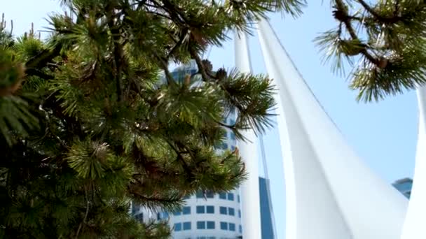 Segel Kanada Plats Vancouver Gran Grenar Mot Himlen Utveckla Flagga — Stockvideo