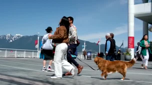 Canada Place Vancouver Canada 2023 Real People Walking Streets Skyscrapers — Stock Video
