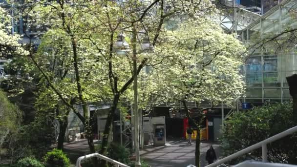 Frühling Skytrain Stationen Burrard Station Nach Kirschblüten Gegen Baum Gerade — Stockvideo