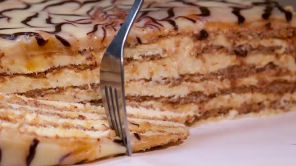 エステラジナッツケーキはハンガリー オーストリア ドイツで人気がありますハンガリーの外交官王子にちなんで名付けられた — ストック動画