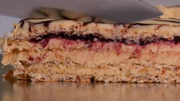 Estergazi Gâteau Aux Noix Est Populaire Hongrie Autriche Allemagne Nommé — Video