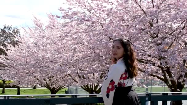 春に花を咲かせる桜の枝 桜の美しい日本の木の枝 ピンク色の美しい景色を楽しむ賑やかな蜂です 春の花 チェリーだ さくら 女の子 — ストック動画