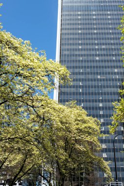 İlkbahar gökyüzü tren istasyonları Burrard İstasyonu kiraz çiçeklerinin ardından mavi gökyüzünde açan ağaçlara karşı Vancouver Canada 2023