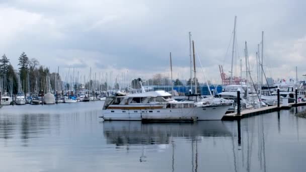 4K美しい港 マリーナ 避難所 セーリングボート ヨット 青い水 ドック 穏やかな 晴れた日 高品質4K映像 — ストック動画