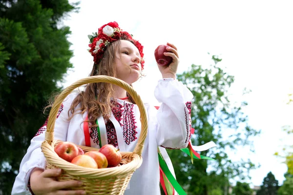 Beautiful Ukrainian Girl Red Wreath Basket Apples Harvesting Ukrainian Woman — Stock Photo, Image