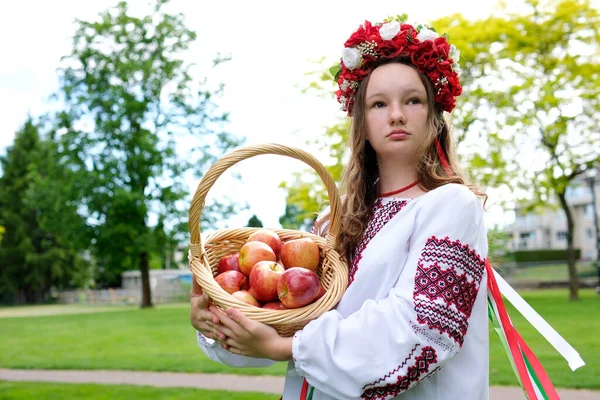 美丽的乌克兰人女孩 戴着红色的花环 头戴红色的花圈 提着一篮子苹果 采摘着乌克兰人的女人 穿着维什万卡传统的十字绣 白色衬衫 松软的发唇 带着蝴蝶结 吃美味的苹果 — 图库照片