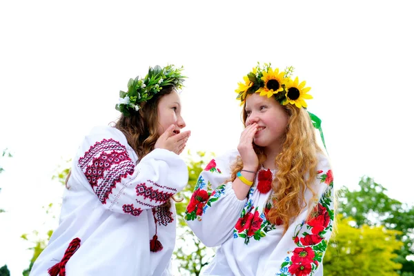 Две Девушки Одевают Друг Друга Венком Полевых Цветов Плету Венок — стоковое фото