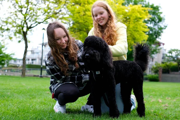 Две Девочки Подростки Ласкающие Собаку Обнимаются Играют Подругой Любимицей Одноклассницы — стоковое фото