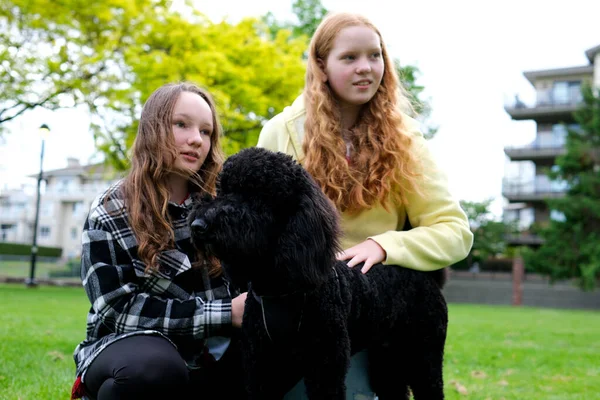 Две Девочки Подростки Ласкающие Собаку Обнимаются Играют Подругой Любимицей Одноклассницы — стоковое фото