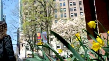 Burrard İstasyonu 'ndaki gökdelenler trafikte yürüyen insanlar gerçek turistler iş adamları basit işadamları herkes Vancouver şehrinde yaşıyor Kanada 2023