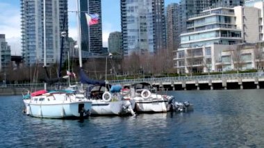 Granville Adası Pasifik Okyanusu yakınlarındaki Vancouver 'da gerçek hayat. Bisikletli martılar üzerinde insanlar Kanada 2023' te güneşli bir günde güneşleniyorlar.