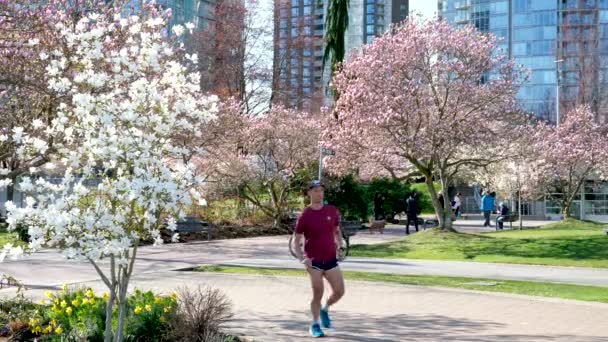 데이비드 David Lam Park 벚꽃의 하늘을 배경으로 — 비디오