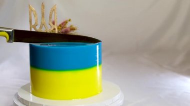 Ukrayna bayrağı şeklinde pasta. Sarı ve mavi katmanlı. Ukrayna arması, darı ve buğday başaklarıyla lezzetli bir pasta süslemesi.