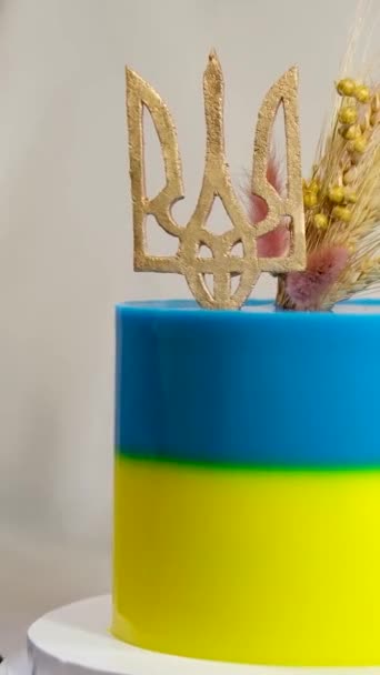 以乌克兰国旗 黄色和蓝色为形式的蛋糕 用乌克兰国徽装饰成美味的蛋糕 用小米和麦片装饰成美味的水果甜点 — 图库视频影像