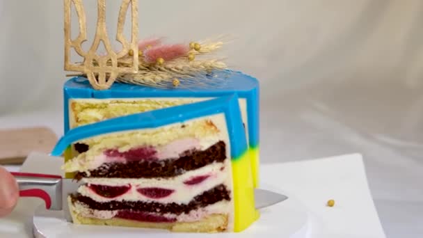 以乌克兰国旗 黄色和蓝色为形式的蛋糕 用乌克兰国徽装饰成美味的蛋糕 用小米和麦片装饰成美味的水果甜点 — 图库视频影像