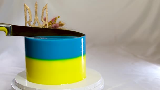 우크라이나 국기의 노란색 파란색 층으로 케이크 장식을 만드는 과정에서 우크라 — 비디오