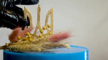 Ukrayna bayrağı şeklinde pasta. Sarı ve mavi katmanlı. Ukrayna arması, darı ve buğday başaklarıyla lezzetli bir pasta süslemesi.