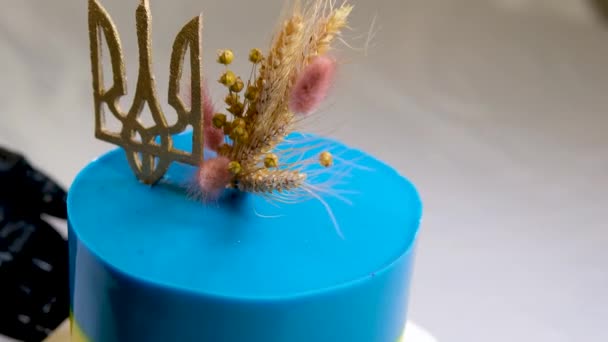 Gâteau Forme Drapeau Ukrainien Jaune Bleu Processus Couche Faire Une — Video