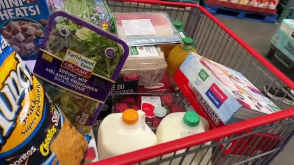 Costco Atacado Supermercado Com Mantimentos Pessoas Vão Compras Grandes Carrinhos — Vídeo de Stock