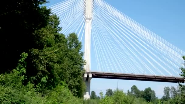 ポート ブリッジ カナダ Bc州のフレーザー川の上底ビュークローズアップズーム巨大な白い伸張ケーブルは 大きな橋を保持しますポート コキットラム グレーターバンクーバー ブリティッシュコロンビア州 カナダ2023 — ストック動画