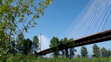 Güneşli bir kış gününde Fraser Nehri 'nden geçen Port Mann manzarası. Surrey, Vancouver, British Columbia, Kanada 'da çekilmiş. Yüksek kalite 4k görüntü