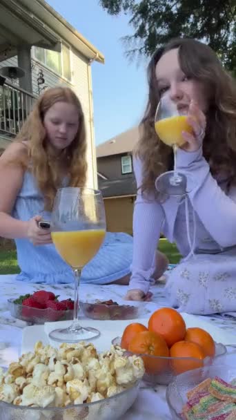 两个少女坐在一起野餐 手里拿着装有橙汁的眼镜 聊得很开心 — 图库视频影像