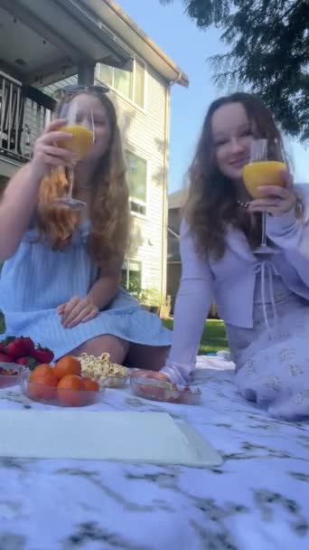 Deux Copines Adolescentes Dans Nature Asseoir Sur Pique Nique Dans — Video