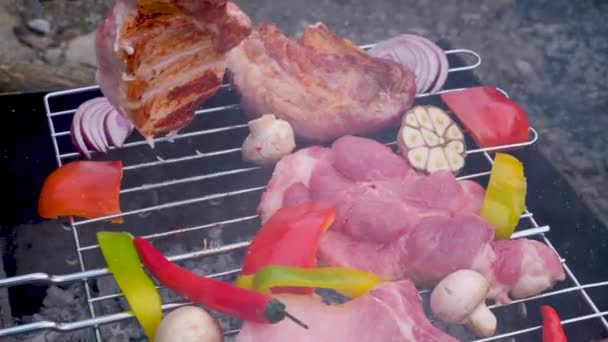 Biftek Pişirmek Izgarada Taze Sebze Pişirmek Piknik Zamanı Yüksek Kalite — Stok video