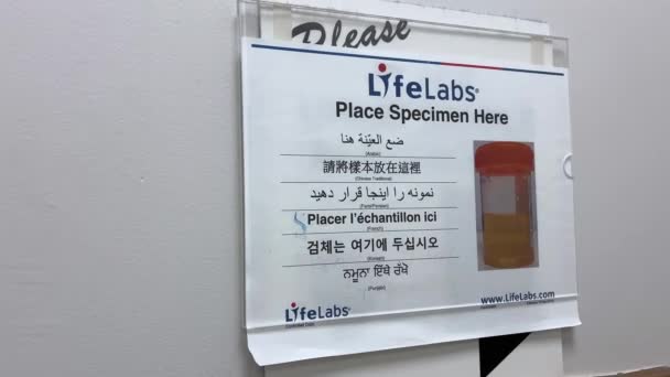 Lifelabs Laboratórium Vérvizsgálathoz Vizelet Széklet Irodai Bejárat Recepció Kanadában Vancouver — Stock videók