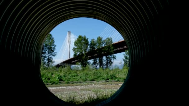ポートマン橋カナダフレーザー川を渡ってBc州の美しい白いケーブルの下からの橋の興味深い珍しい映像は 強力な強い橋の緑の木鉄道をサポートしていますサイフォン上の地球 — ストック動画