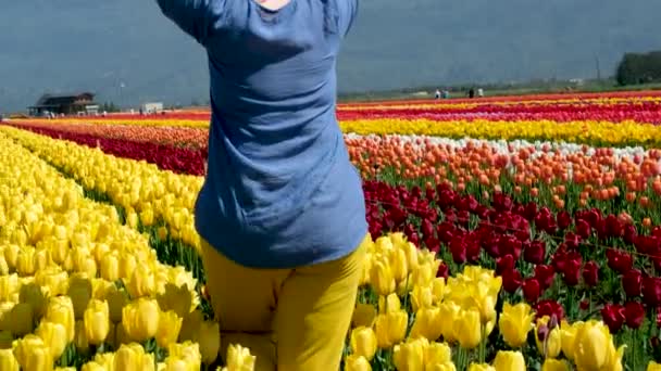 Donna Adulta Campo Tulipani Vestiti Blu Giallo Come Bandiera Dell — Video Stock