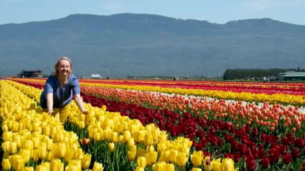 Dorosła Kobieta Polu Tulipanów Ubrania Niebieski Żółty Jak Flaga Ukrainy — Wideo stockowe