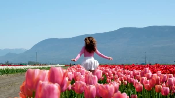 Biegnie Przez Różowe Pole Tulipanów Kierunku Gór Młoda Dziewczyna Białej — Wideo stockowe
