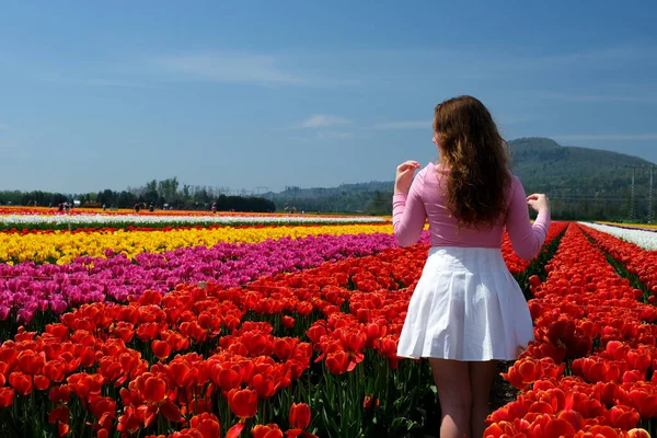 Läuft Über Rosafarbenes Tulpenfeld Richtung Berge Junges Mädchen Weißen Rock — Stockfoto