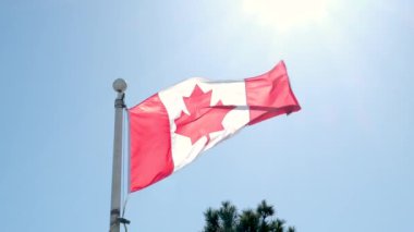 Gerçekçi Kanada bayrağı sallıyor. Pürüzsüz 4K video döngüsü. Yüksek kalite 4k görüntü