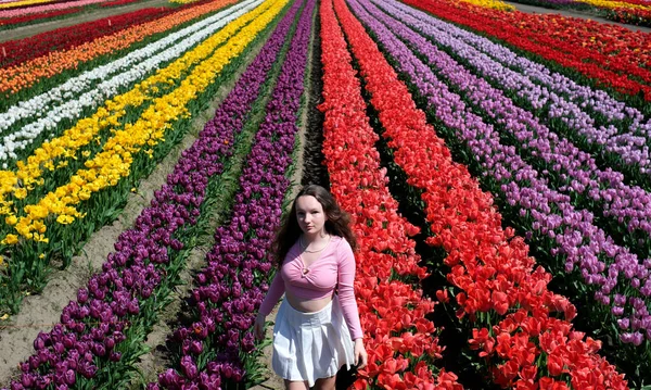 girl walks in field with tulips She has long hair Looks into the frame white skirt pink blouse Flowers grow in rows they are different colors Large field of tulips good mood bright colors