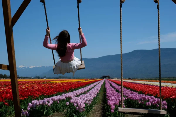 Beautiful girl rides on swing Over a large field of colorful tulips Mountains and blue sky in the background Tulips grow in straight rows beautiful nature good mood sunny day Travel walks outdoors