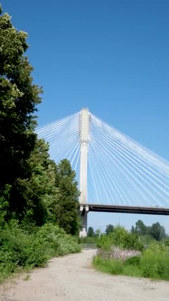 Port Mann Bridge Über Den Fraser River Sonniger Sommer Surrey — Stockvideo