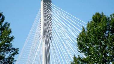 BC 'de Fraser Nehri üzerinde Kanada Port Mann Köprüsü. Aşağıdan yukarıya uzanan ilginç köprü görüntüleri. Güzel beyaz kablolar.