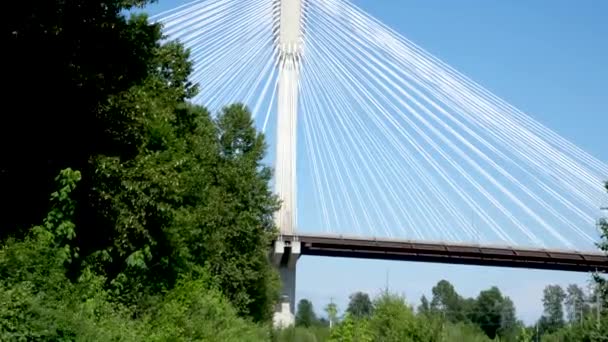 加拿大弗拉塞河上的曼港桥公元前后有趣的一段不同寻常的桥段 从底部向上伸展的美丽的白色电缆支撑着巨大的桥 绿色的树 铁路地球上的虹吸 — 图库视频影像
